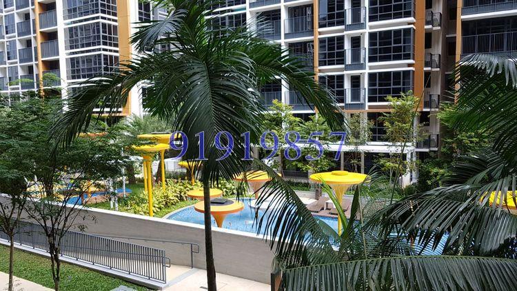 Coco Palms (D18), Condominium #171654122